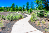 Lava Flow Trail