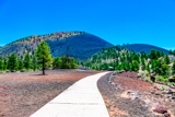 Lava Flow Trail