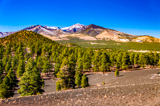 Lenox Crater Trail