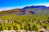 Cinder Hills Overlook