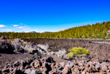 Lava Flow Trail