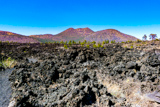 Lava's Edge Trail