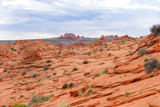Coyote Buttes North Trail