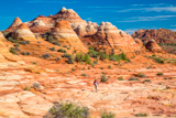 Coyote Buttes North Trail
