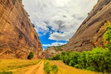 Photos/Images de Dinosaur National Monument - Colorado