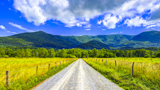 Cades Cove Loop Road