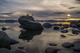 Bonsai Rock