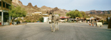 Oatman