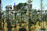 Elmer's Bottle Tree Ranch