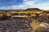 Amboy Crater