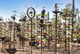 Elmer's Bottle Tree Ranch