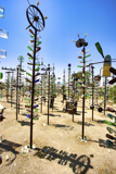 Elmer's Bottle Tree Ranch