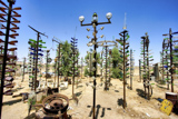 Elmer's Bottle Tree Ranch