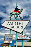 Safari Motel