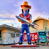 Buck Atom Space Cowboy