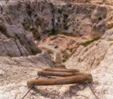 Notch Trail