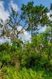 Visitor Center Trail