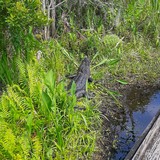 Visitor Center Trail
