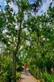 Palmetto Trail