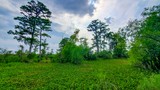 Bayou Coquille Trail