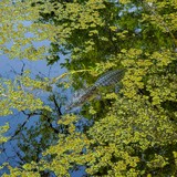 Twin Canals Trail