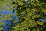 Twin Canals Trail