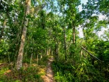 Twin Canals Trail