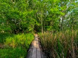 Twin Canals Trail