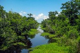 Marsh Overlook Trail