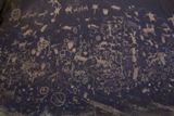 Newspaper Rock