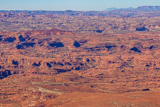 Needles Overlook (vue Ouest)