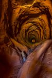 Belly of the Dragon
