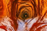 Photos/Images de Belly of the Dragon