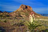Ross Maxwell Scenic Drive