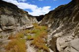 Bisti Wilderness