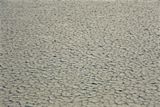 Bisti Wilderness