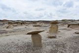 Bisti Wilderness