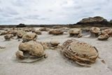 Bisti/De-Na-Zin Wilderness