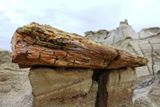 Bisti/De-Na-Zin Wilderness