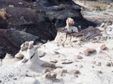 Hoodoos