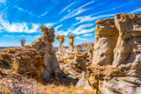 De-Na-Zin Wilderness