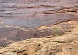 Sand Island Petroglyphs