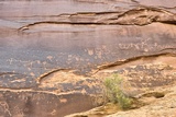Sand Island Petroglyphs