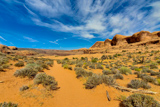Bowtie & Corona Arches Trail