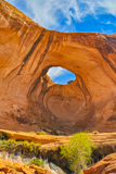 Bowtie Arch