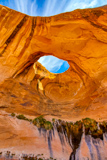 Bowtie Arch