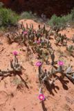 Sur Broken Bow Arch Trail
