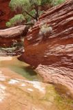 Broken Bow Arch Trail