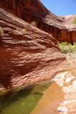 Broken Bow Arch Trail