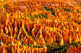 Lever de Soleil à Bryce Point